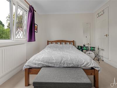 Picture 21